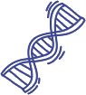 seed-dna-strand