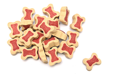 Bone shaped dog treats