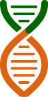 dna-strand