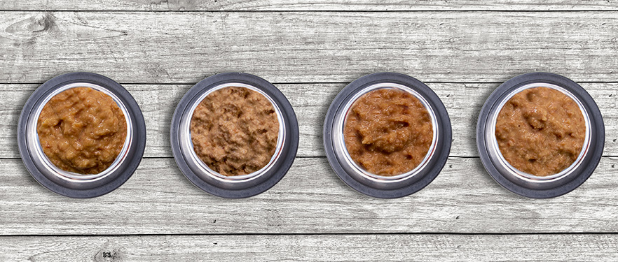 titatnium-dog-food-bowls