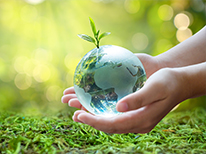 A human hand holding a transparent earth with a big tree sprouting from it