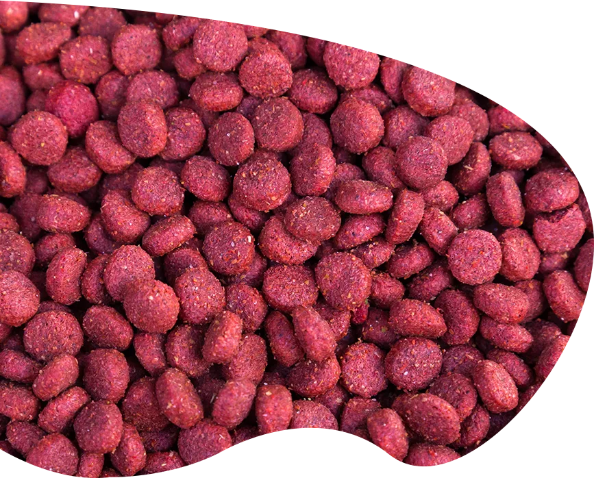 Grand Ruby