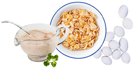 avalanche fusion xtra