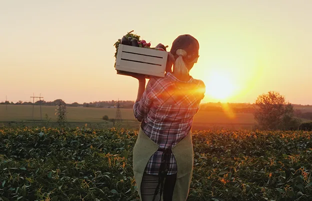 woman carrying box of produce in field