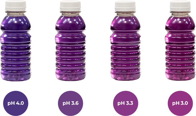 purple bottles