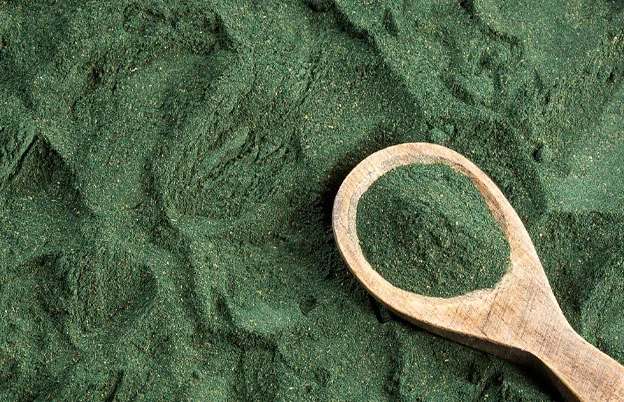 spirulina powder