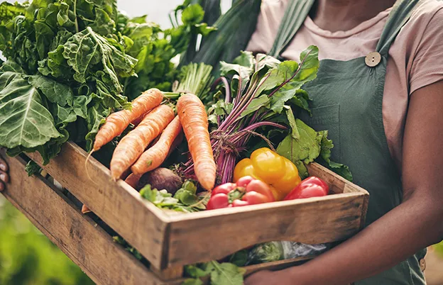 farmer holding box of produce
