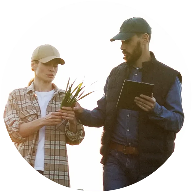 workers inspecting crops