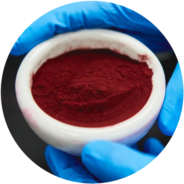 hands in gloves holding sample of red powder