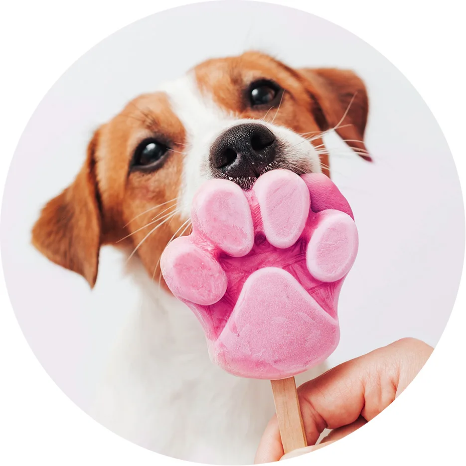 pink dog treat
