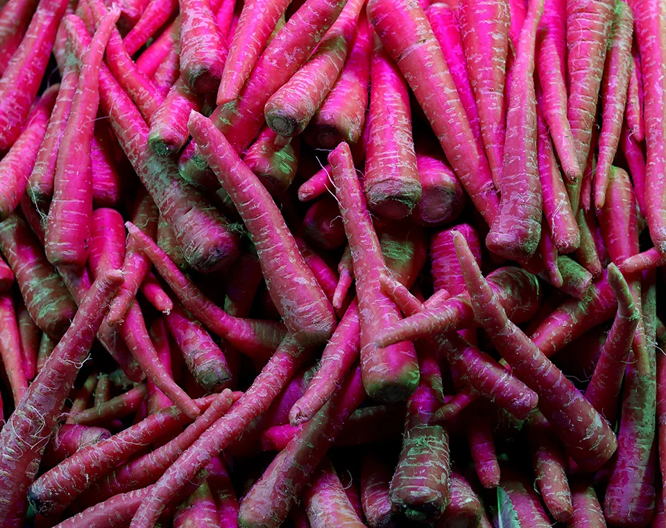 purple carrots